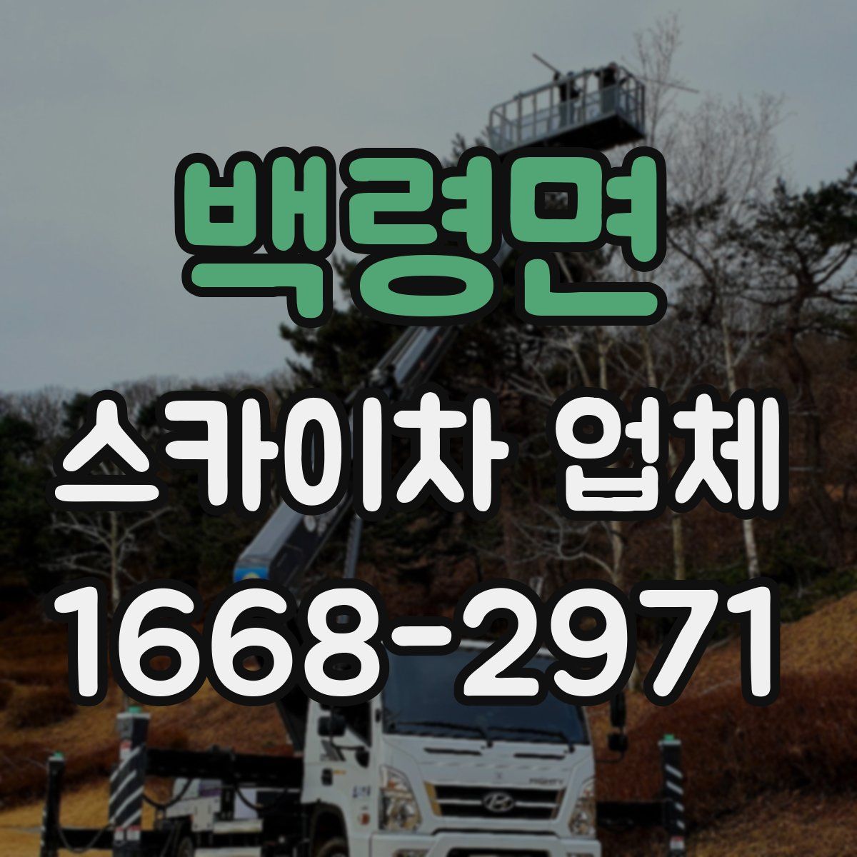 백령면 스카이차 업체