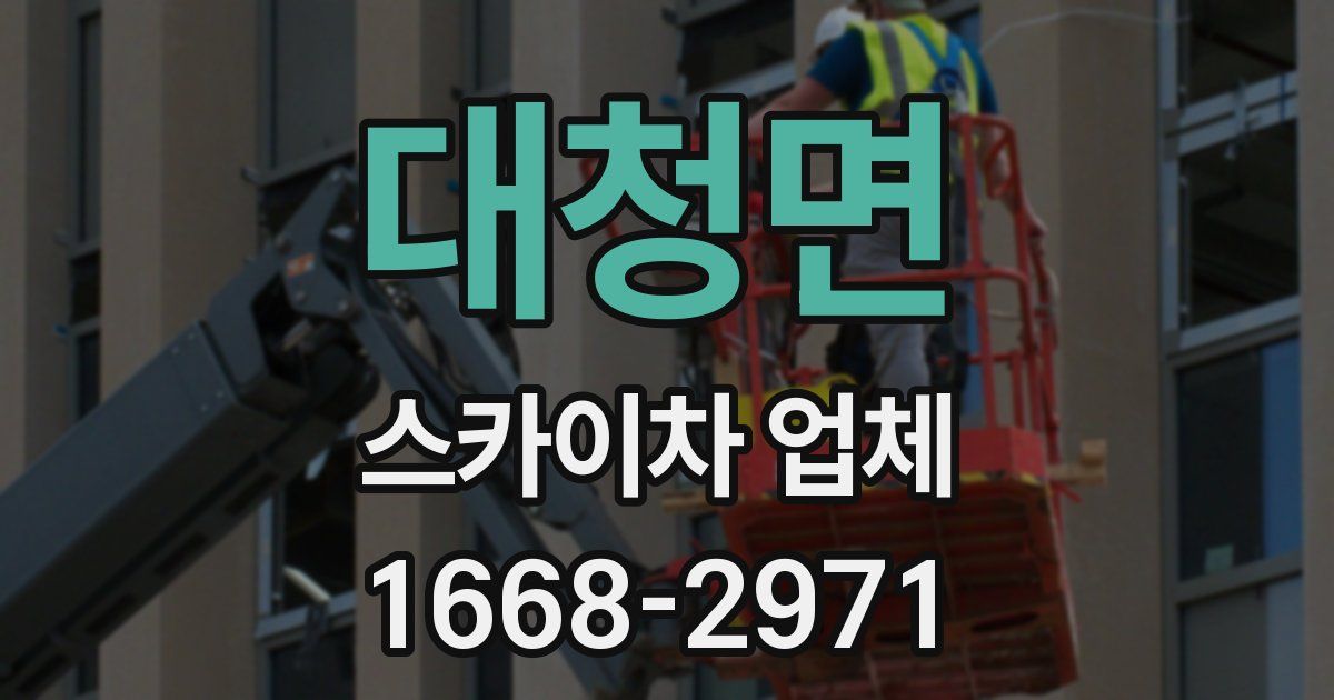 대청면 스카이차 업체