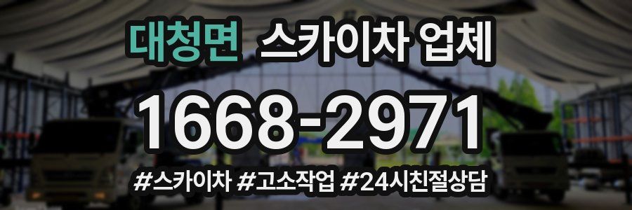 대청면 스카이차 업체