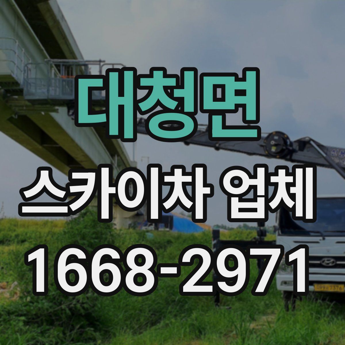 대청면 스카이차 업체
