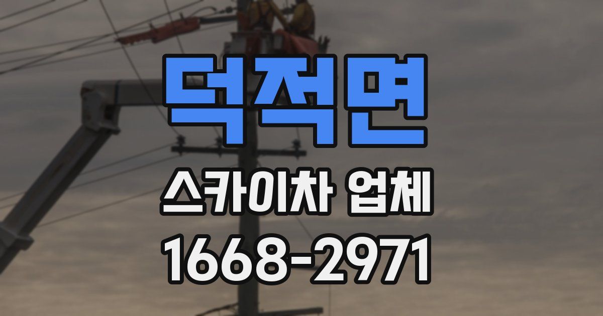 덕적면 스카이차 업체