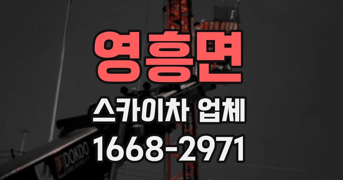 영흥면 스카이차 업체