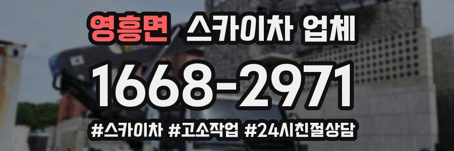 영흥면 스카이차 업체