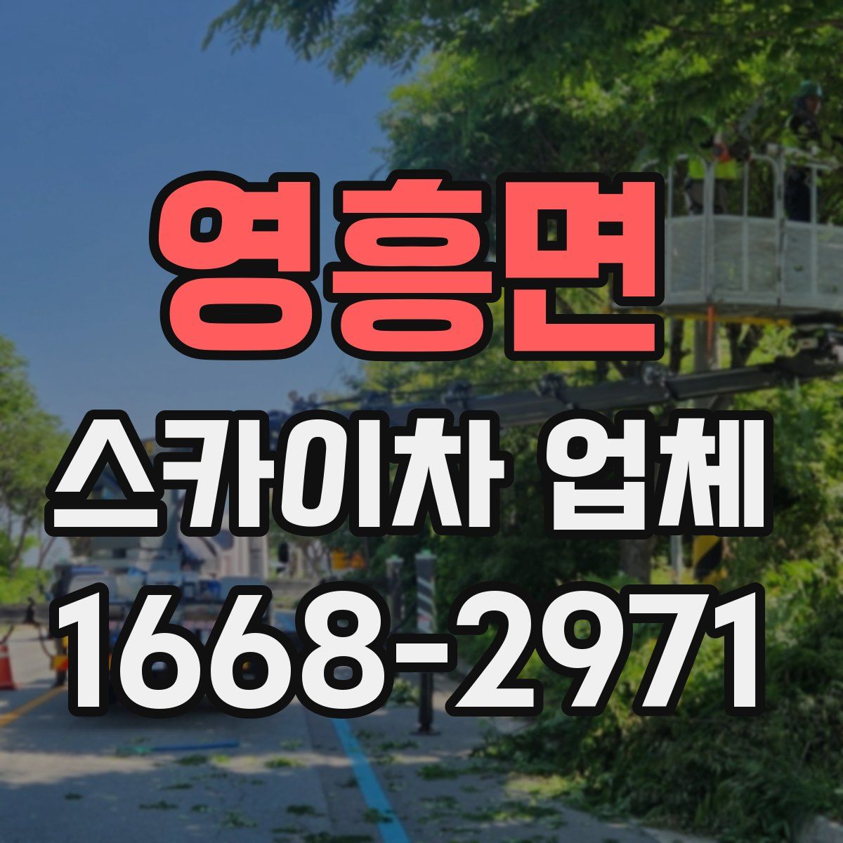 영흥면 스카이차 업체