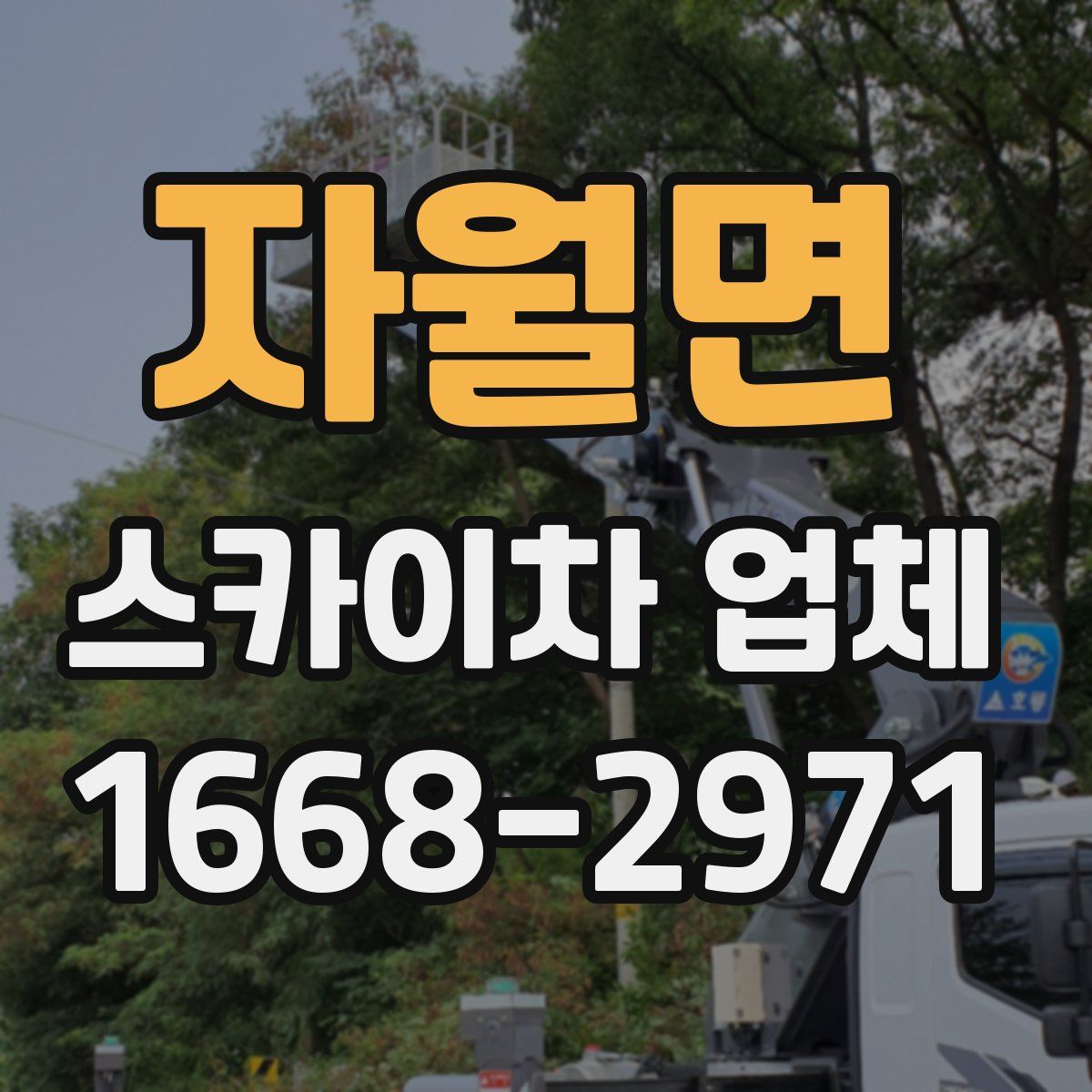 자월면 스카이차 업체