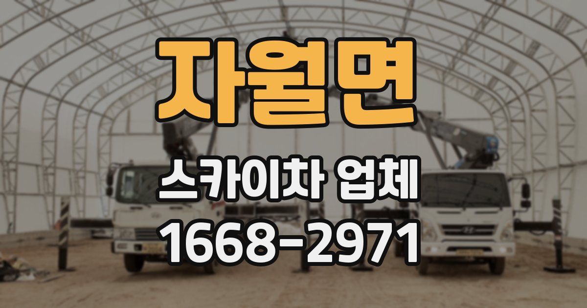 자월면 스카이차 업체