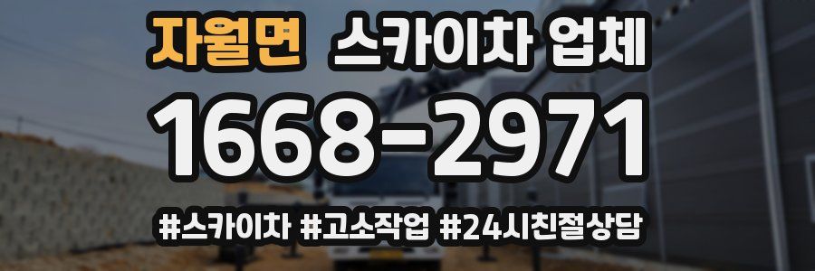 자월면 스카이차 업체