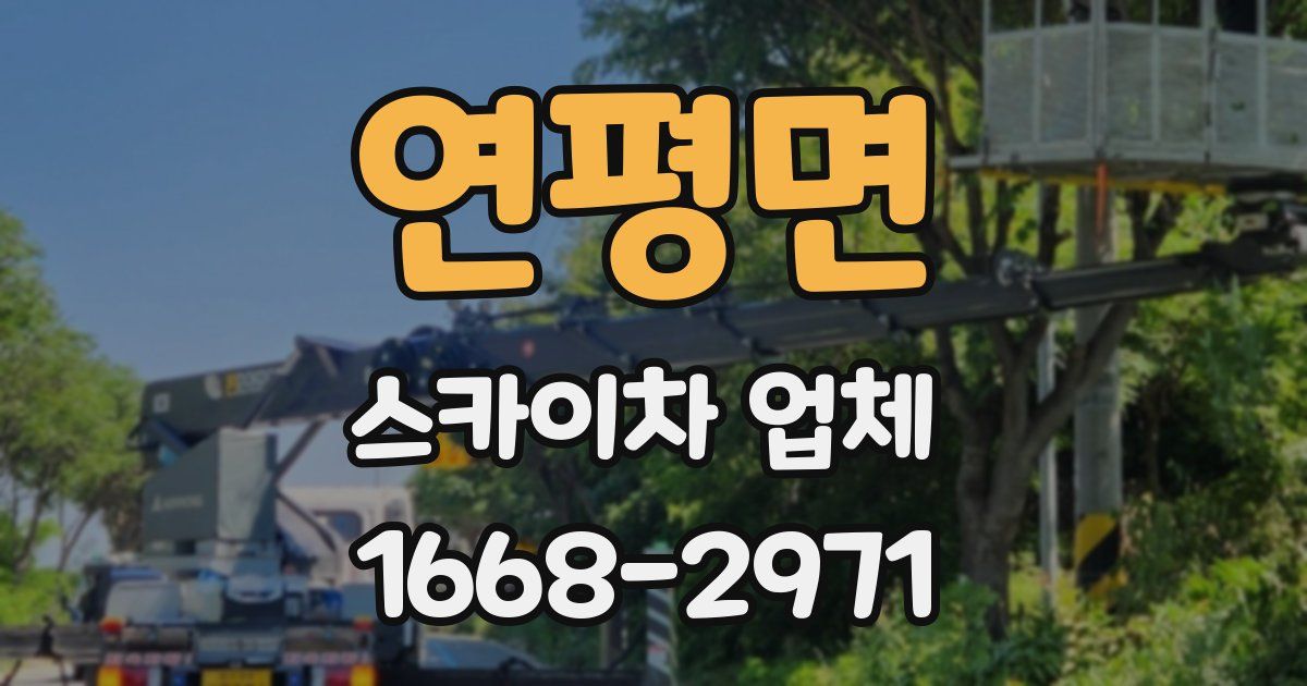 연평면 스카이차 업체