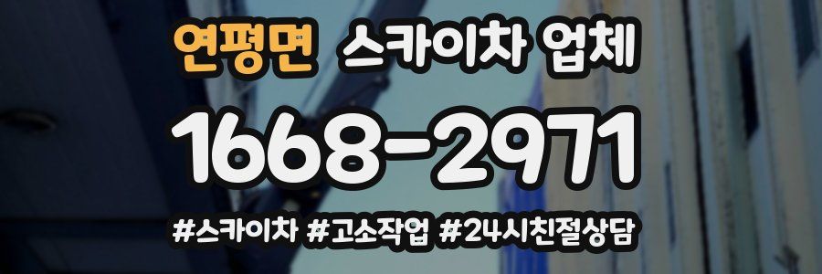 연평면 스카이차 업체