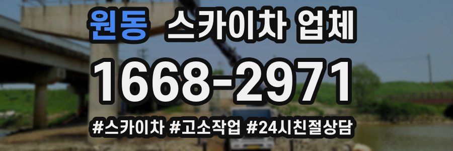 원동 스카이차 업체