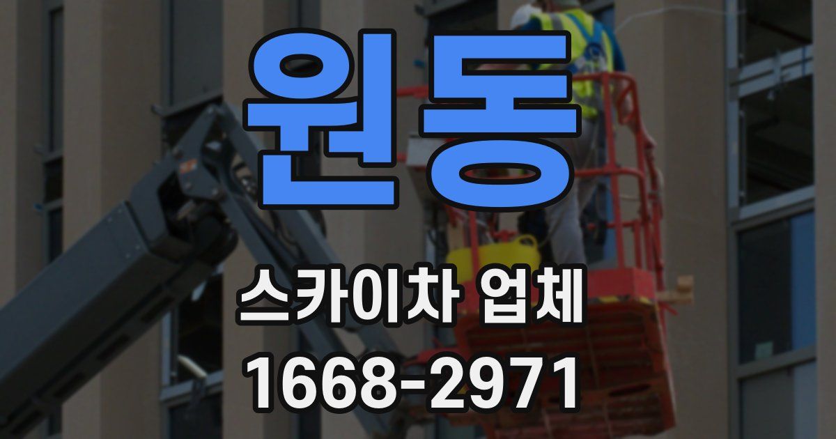 원동 스카이차 업체