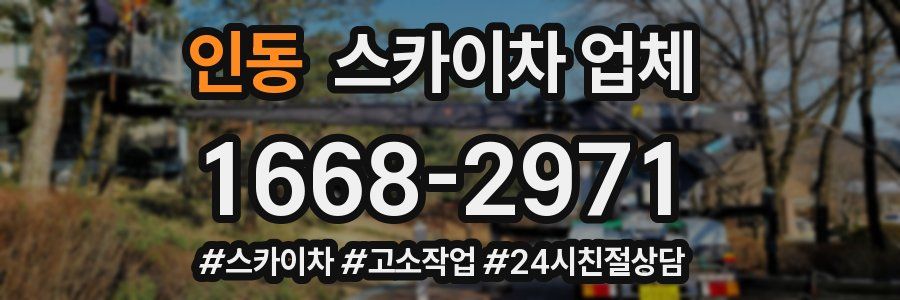 인동 스카이차 업체