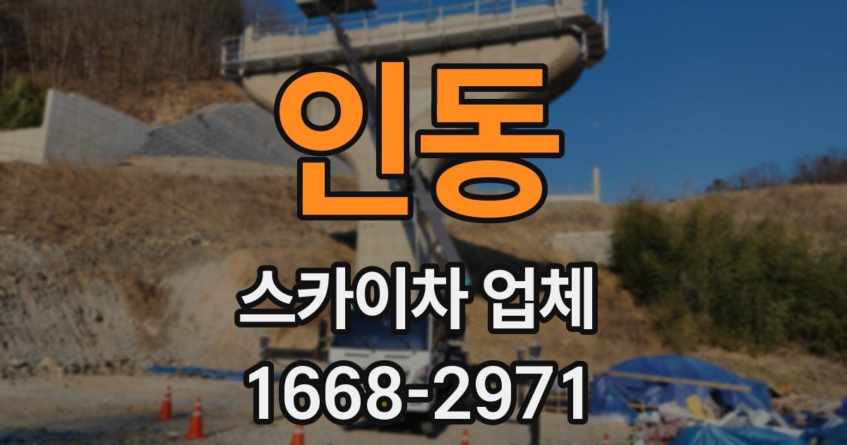 인동 스카이차 업체