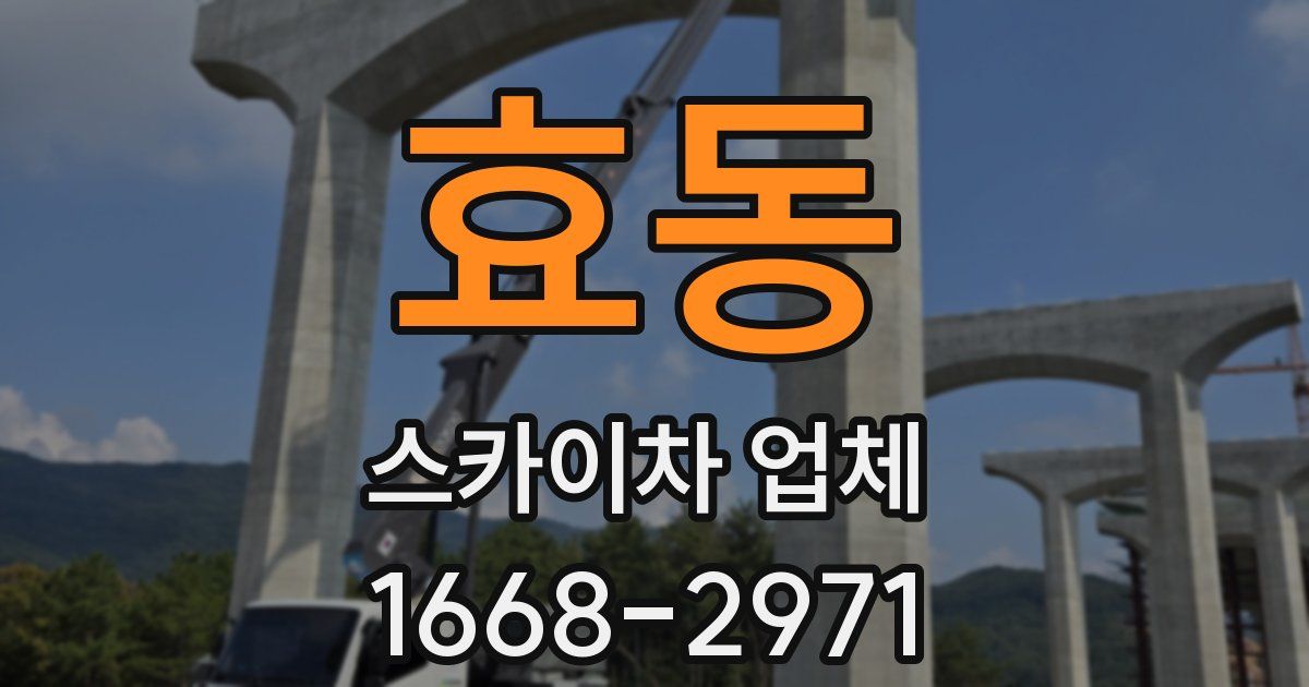 효동 스카이차 업체