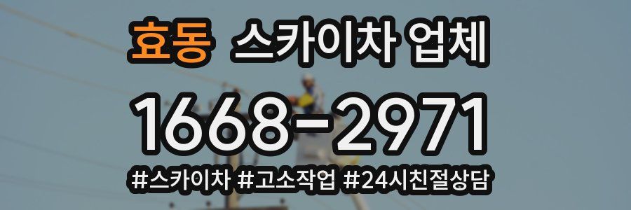 효동 스카이차 업체