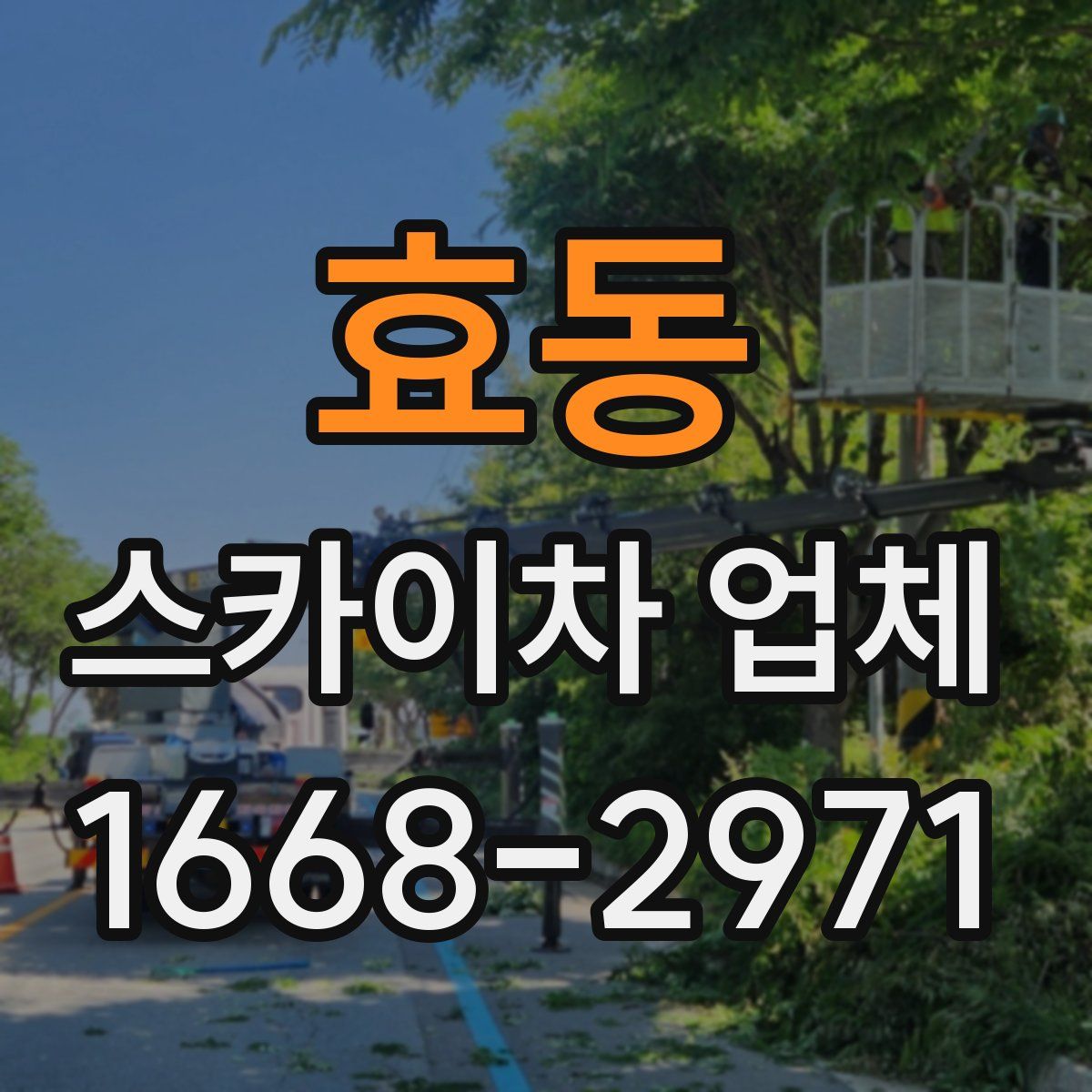 효동 스카이차 업체