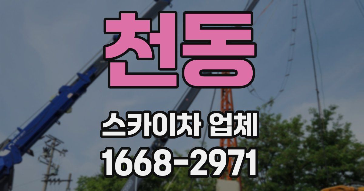 천동 스카이차 업체