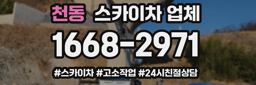 천동 스카이차 업체