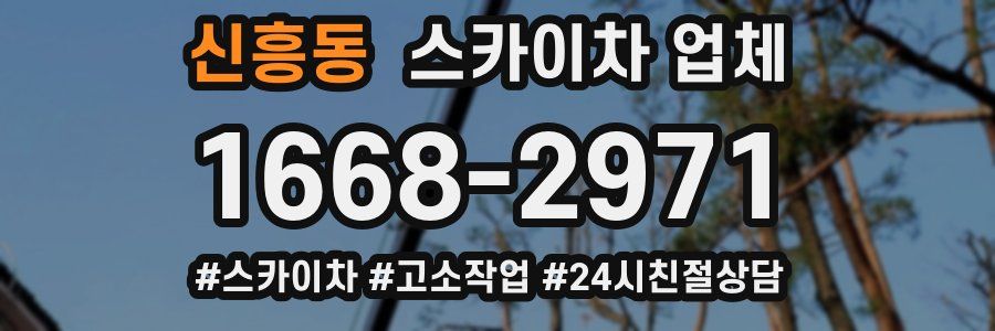 신흥동 스카이차 업체
