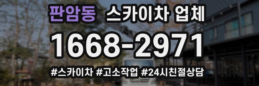 판암동 스카이차 업체
