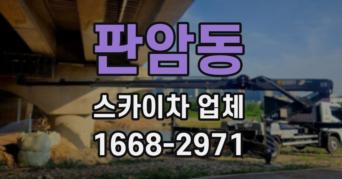 판암동 스카이차 업체