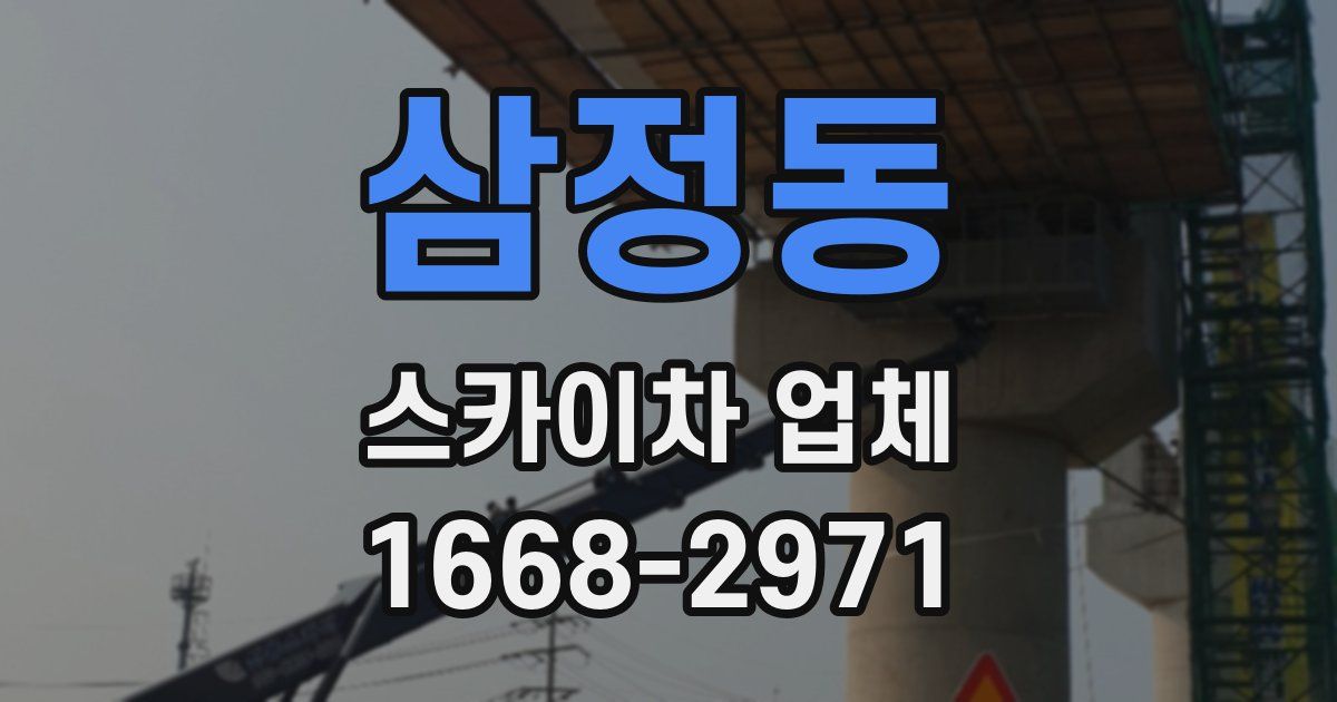 삼정동 스카이차 업체