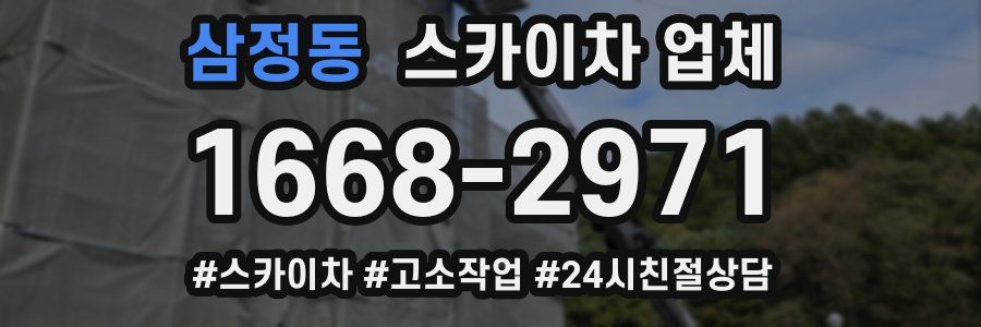 삼정동 스카이차 업체