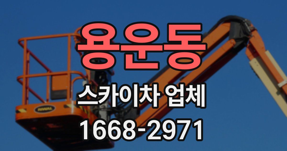 용운동 스카이차 업체