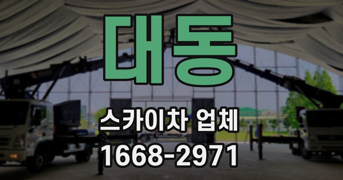 대동 스카이차 업체