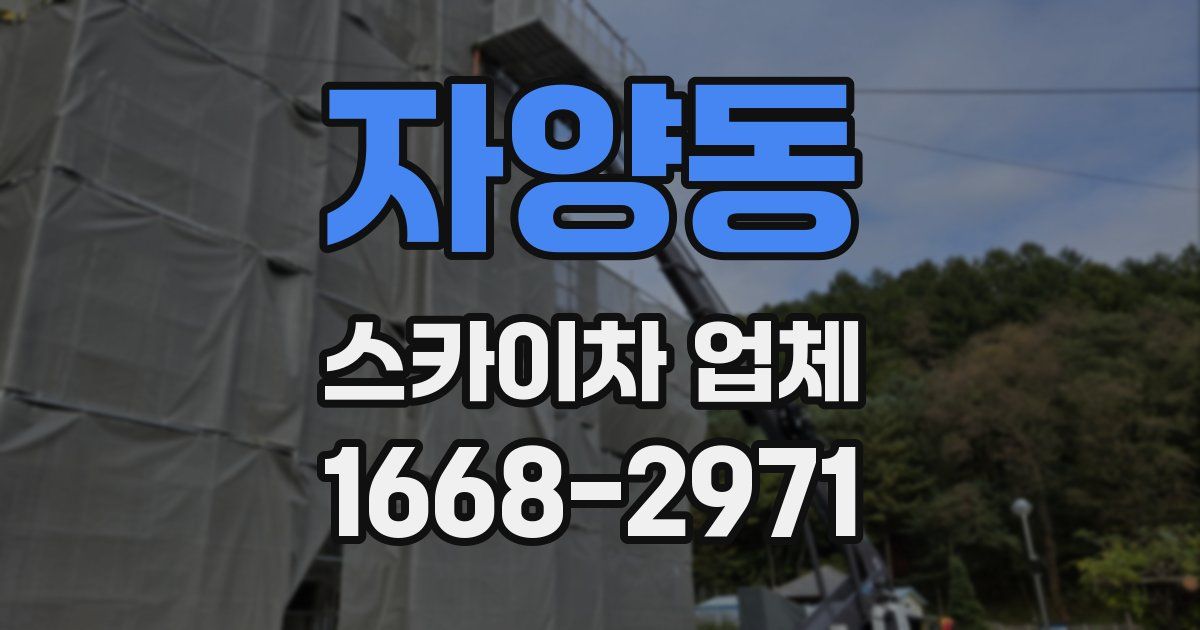 자양동 스카이차 업체