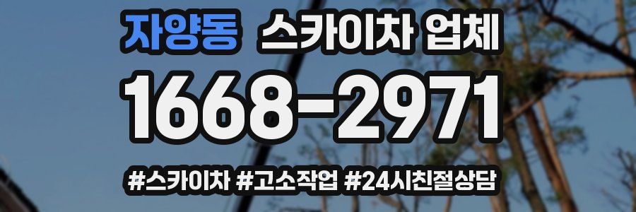 자양동 스카이차 업체