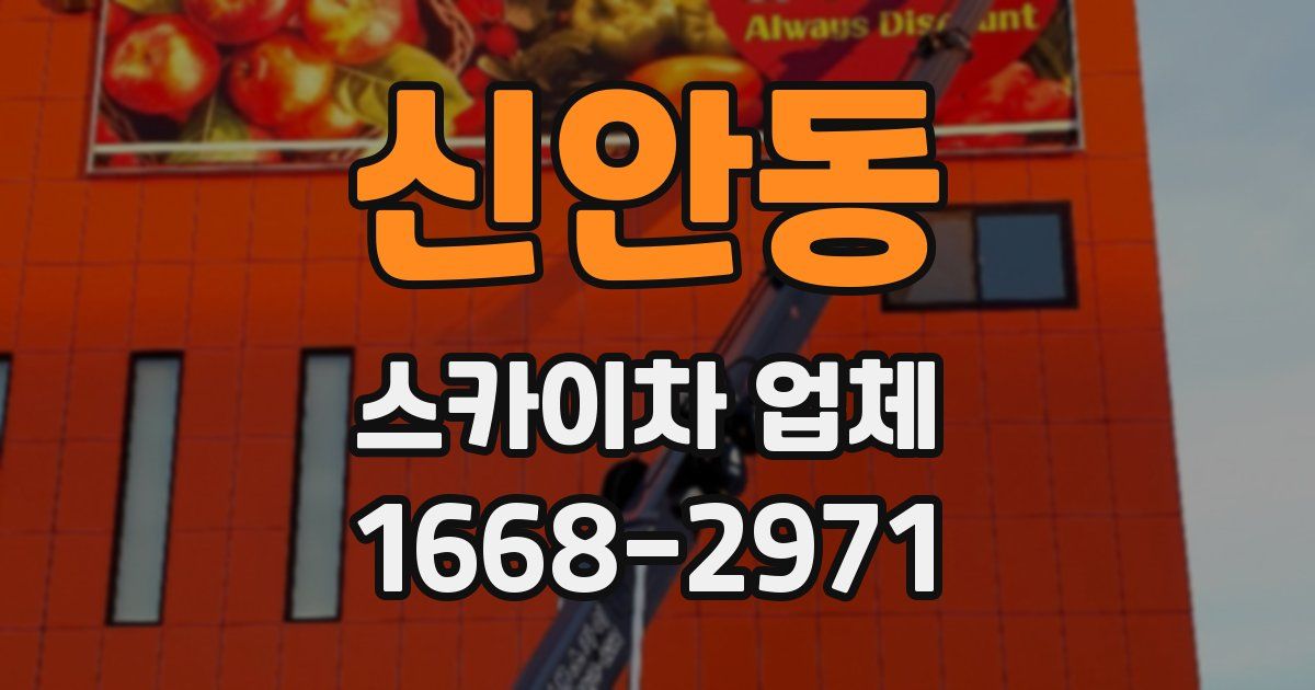신안동 스카이차 업체