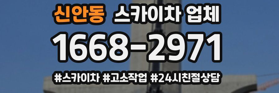 신안동 스카이차 업체