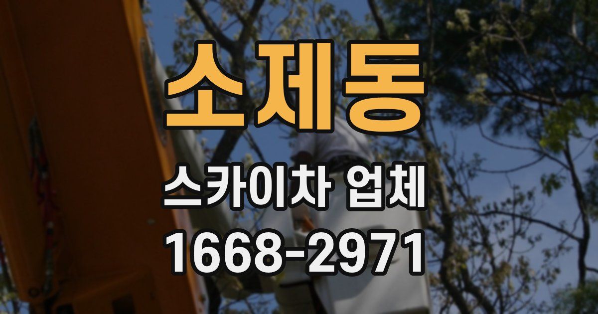 소제동 스카이차 업체