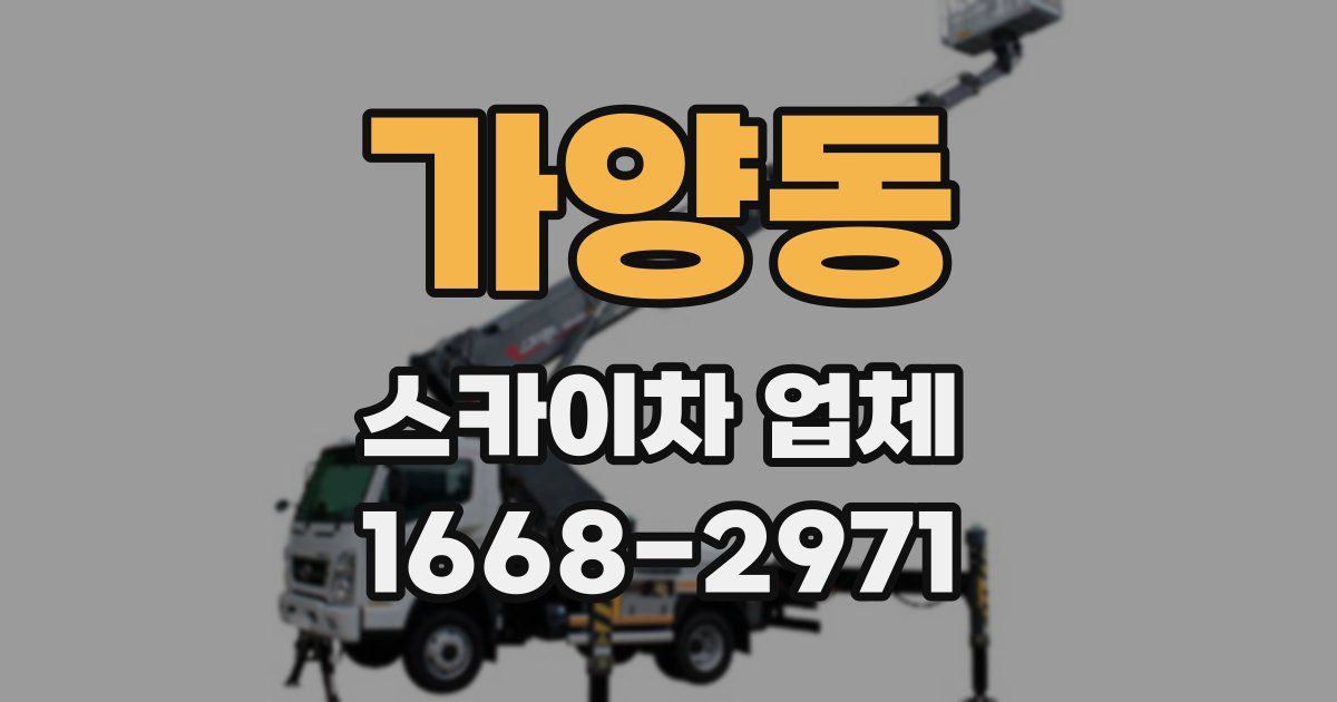 가양동 스카이차 업체