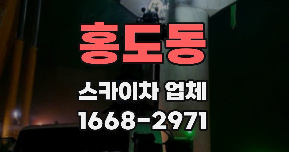 홍도동 스카이차 업체