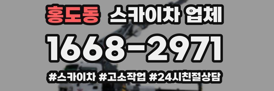 홍도동 스카이차 업체