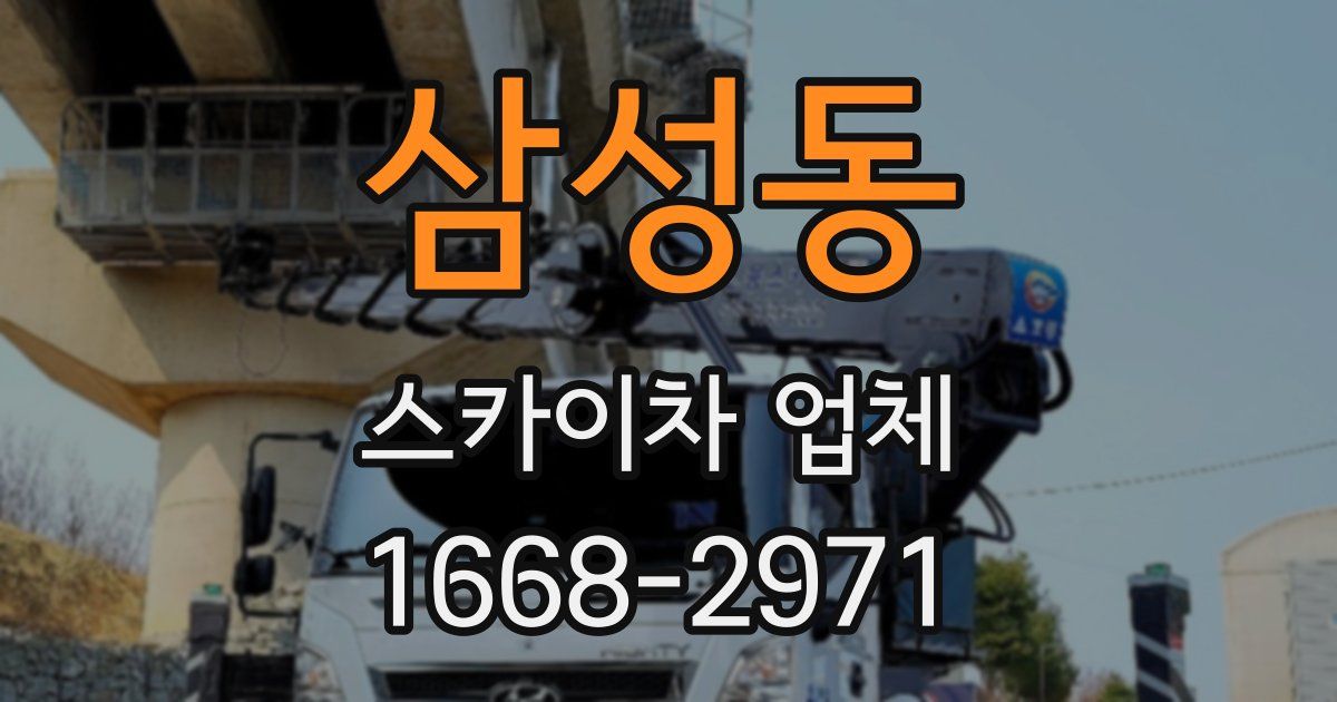 삼성동 스카이차 업체