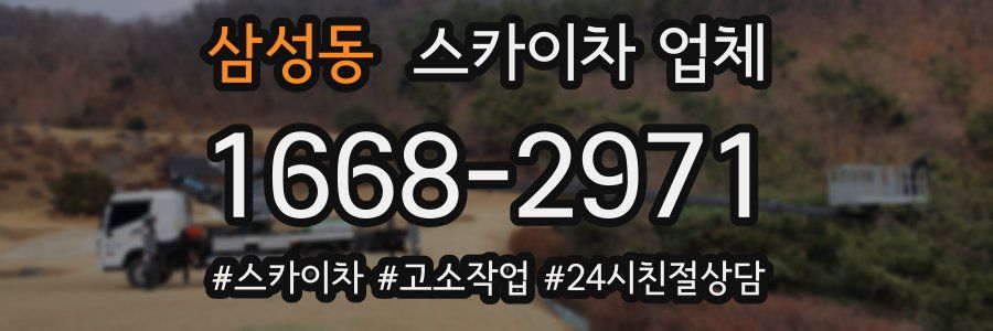 삼성동 스카이차 업체