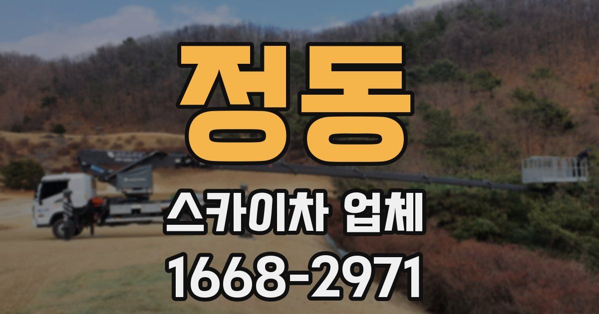 정동 스카이차 업체