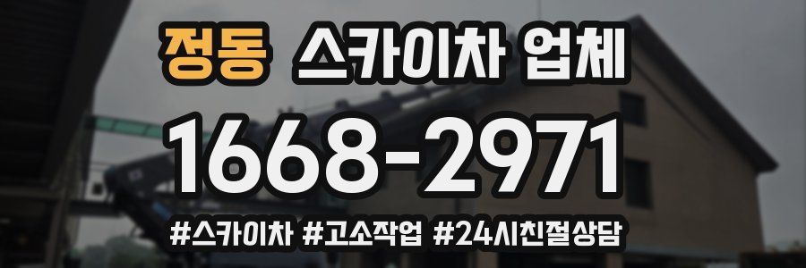 정동 스카이차 업체