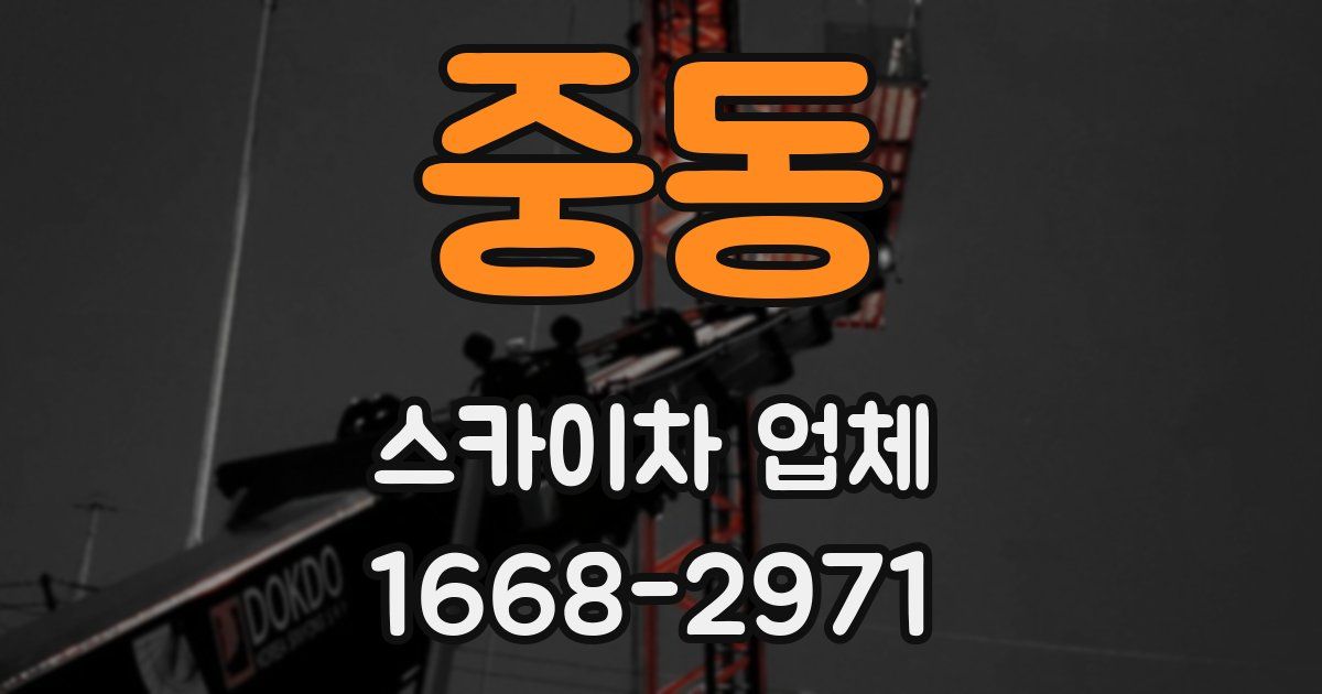 중동 스카이차 업체