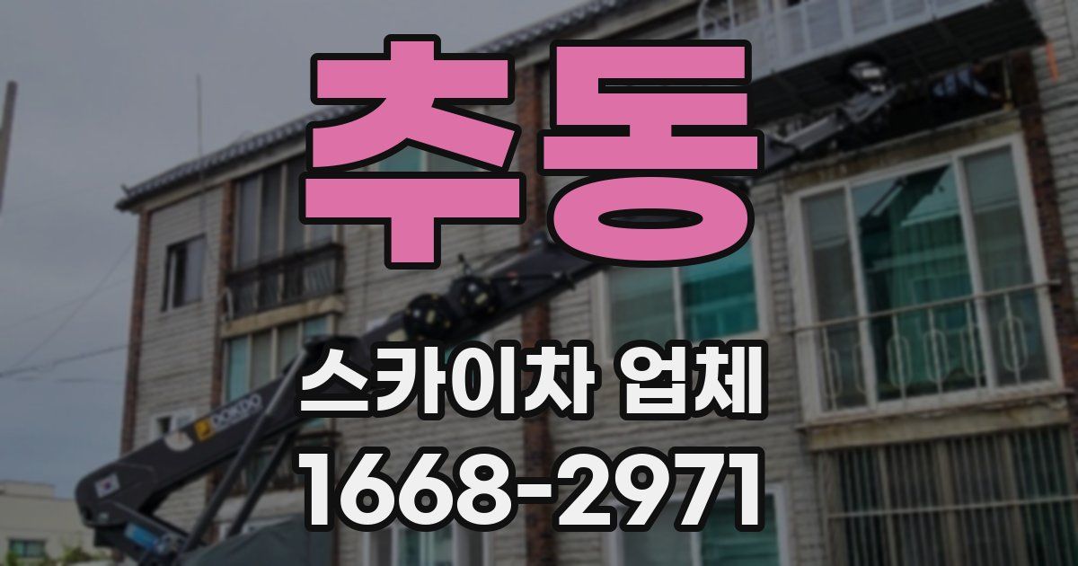 추동 스카이차 업체
