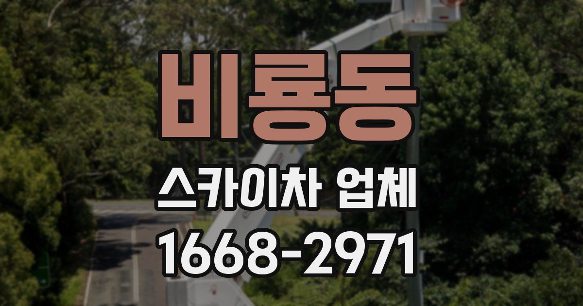 비룡동 스카이차 업체