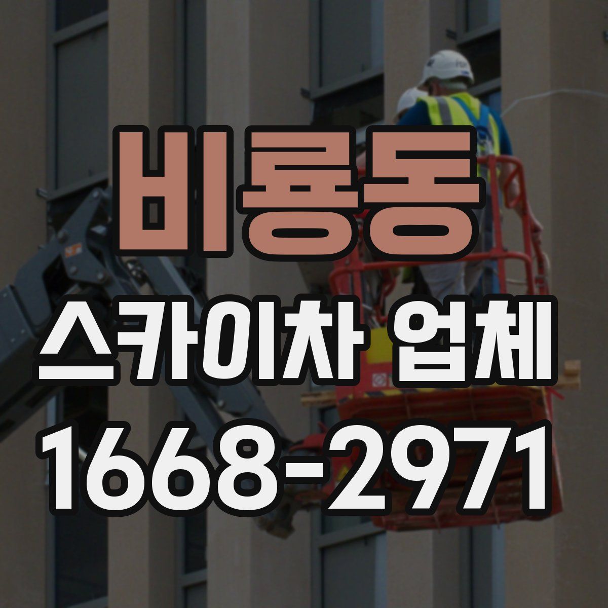 비룡동 스카이차 업체