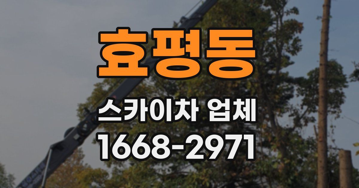 효평동 스카이차 업체
