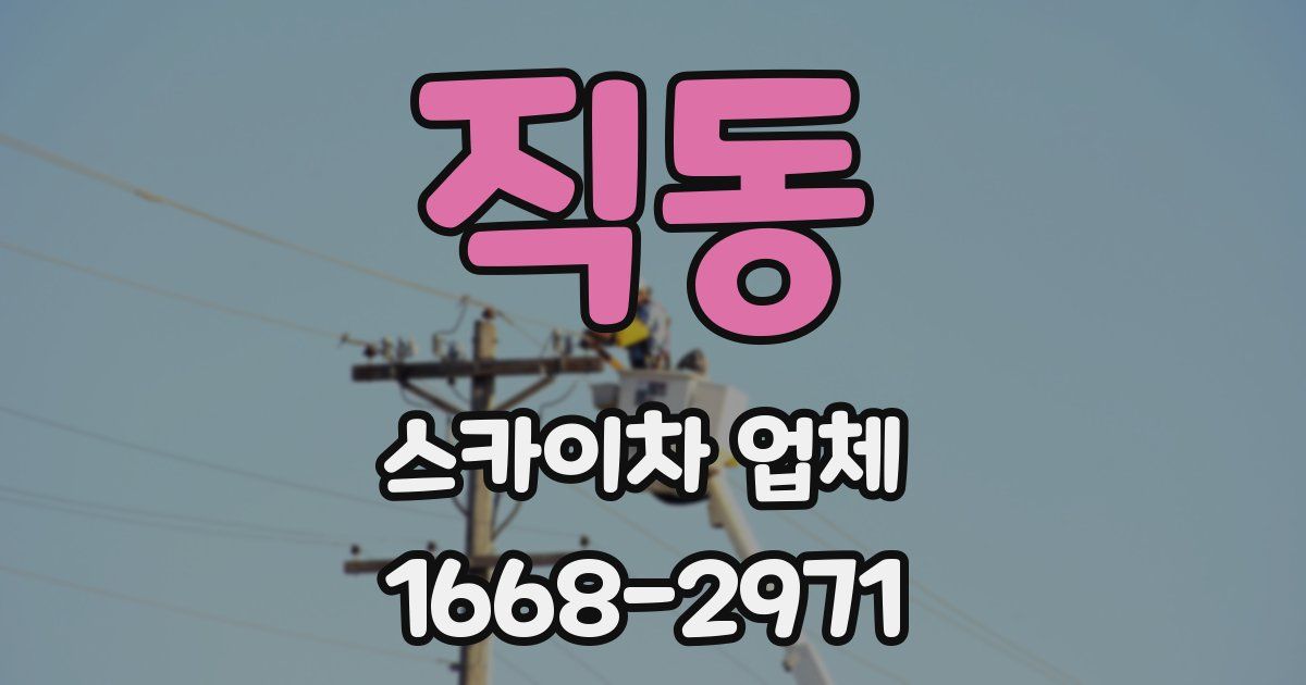 직동 스카이차 업체