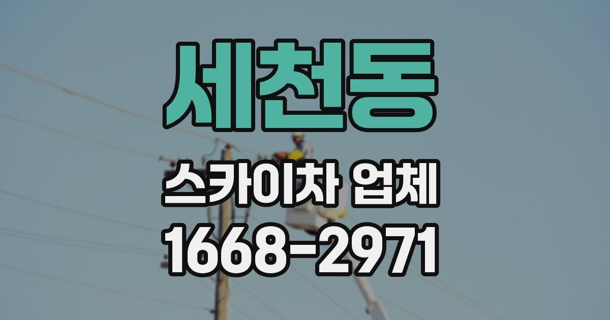 세천동 스카이차 업체