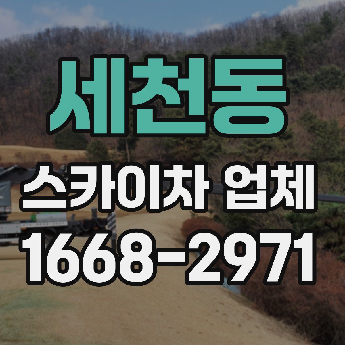 세천동 스카이차 업체