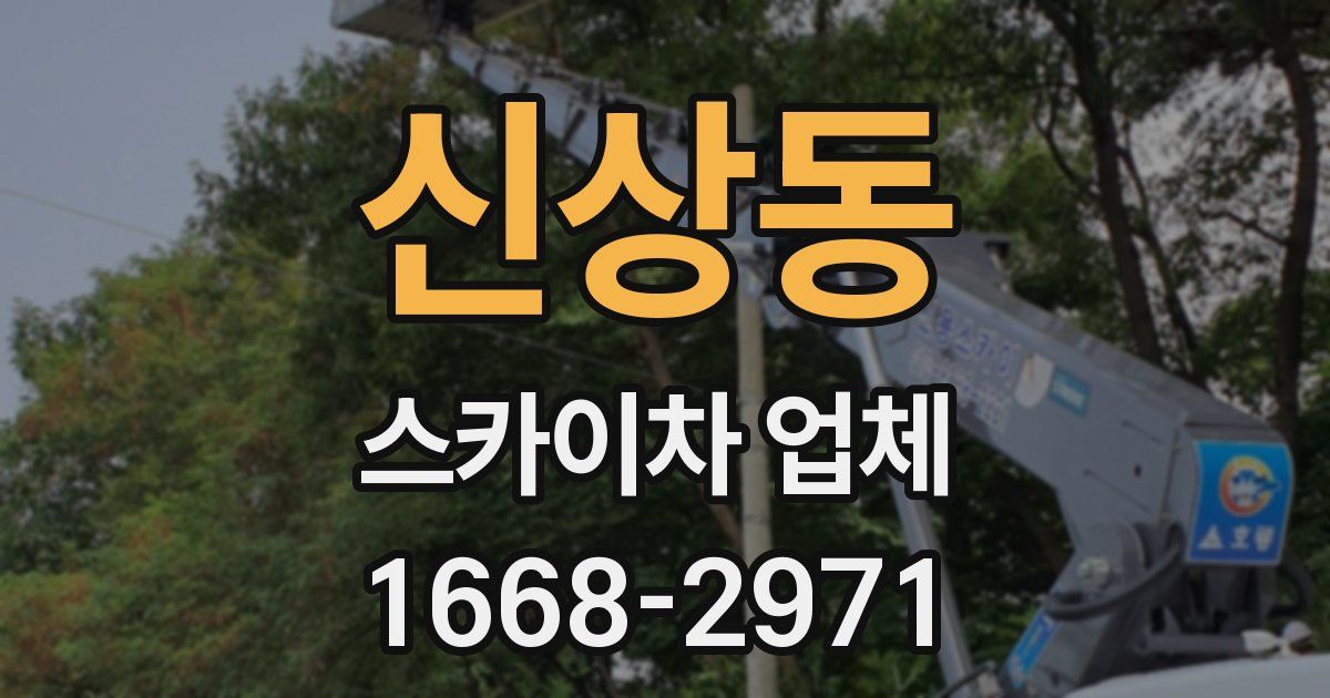 신상동 스카이차 업체